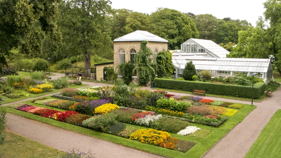 Foto av Botaniska trädgården i Lund där man ser växthusen och ett grönskande blomsterhav.