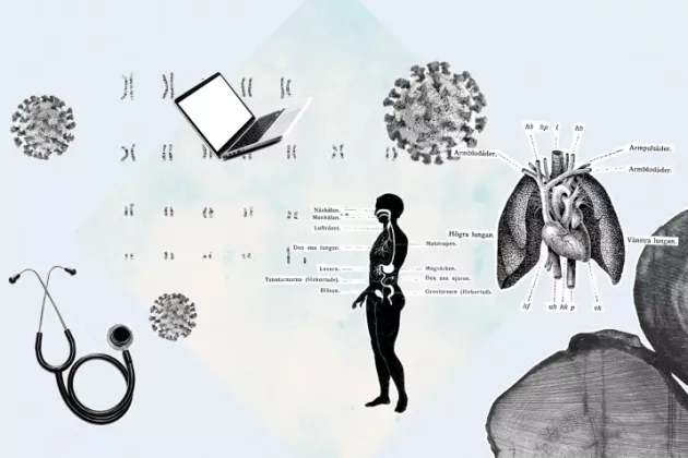 Kollage med illustrationer av anatomi, stetoskop, dator och en kropp.