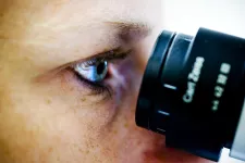 Närbild på en person som tittar koncentrerat in i ett mikroskop. Foto.