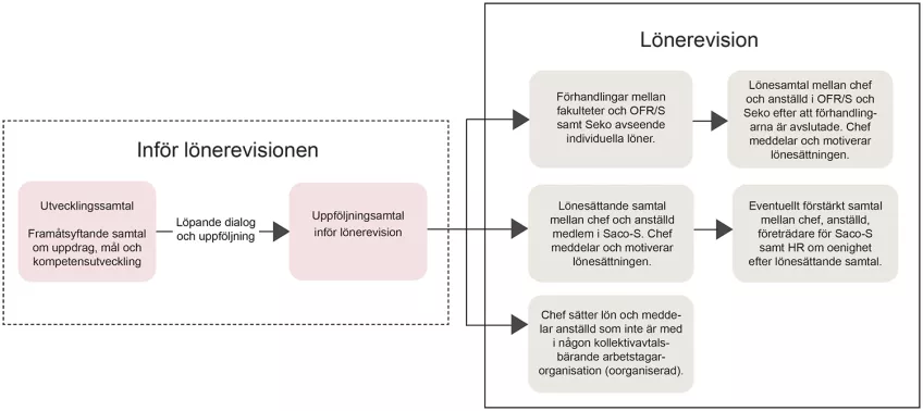 Bilden visar en processkarta över lönerevisionen, för målgruppen anställda.